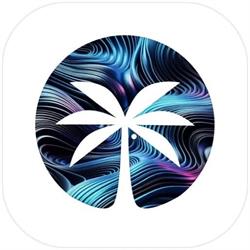 SURFVERSE, Medgidia program de funcționare