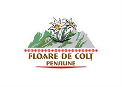 Pensiunea Floare De Colţ, Poiana Galdei program de funcționare