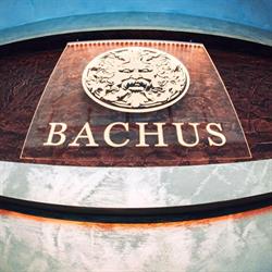 Bachus, Beclean program de funcționare