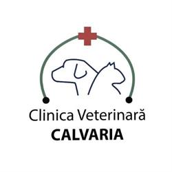 Clinica Veterinară Calvaria, Floreşti program de funcționare
