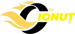 Vulcanizare La Ionut, Bârlad program de funcționare