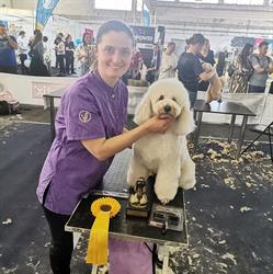 Salon Benji - Toaletaj Canin Arad, program de funcționare