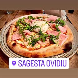 Sagesta, Ovidiu program de funcționare