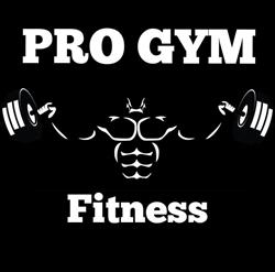 Pro Gym Fitness, Modelu program de funcționare