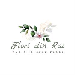 Flori din Rai, Baia Mare program de funcționare