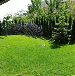 Amenajari gradini- MagicYard.ro, Popeşti-Leordeni program de funcționare