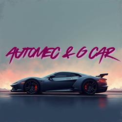 Automec & G Car, Oradea program de funcționare