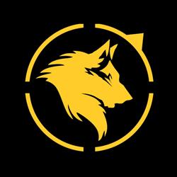 The Beast Team - Antrenamente MMA, Râmnicu Vâlcea program de funcționare