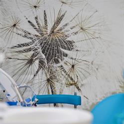 Rao Dental Studio, Hunedoara program de funcționare