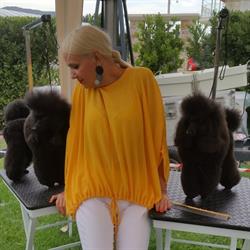 TSK PET SALON, Bucureşti program de funcționare