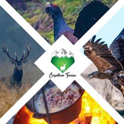 Carpathian Tourism, Topliţa program de funcționare
