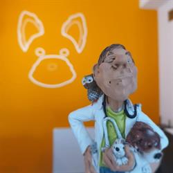 Cabinet Veterinar Dr Thomas Keller, Timişoara program de funcționare