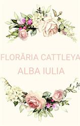 FLORĂRIA CATTLEYA ALBA IULIA, Alba Iulia program de funcționare