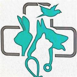 Farmacie Veterinara RanVet, Galaţi program de funcționare