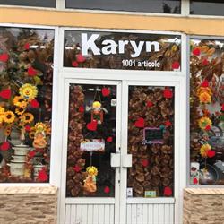 Karyn 1001 Articole, Arad program de funcționare