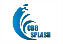 CBB SPLASH - Spalatorie Auto Margineana, Chişineu-Criş program de funcționare