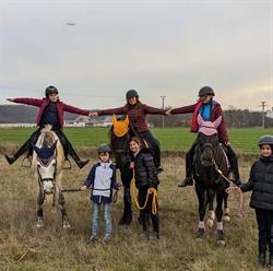 Palomino Horses, Dascălu program de funcționare