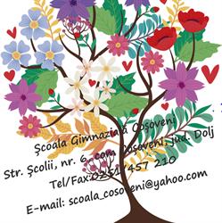Şcoala Gimnazială Coşoveni, program de funcționare