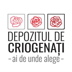 Depozitul de Criogenati (Trandafiri Criogenati En-Gros & Licheni Stabilizati Decorativi, Naturali), Bucureşti program de funcționare