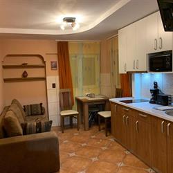 Garsoniera Ania, Băile Felix program de funcționare