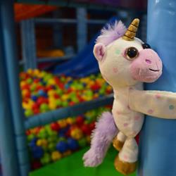 Kids Rainbow- Loc de joaca, Iaşi program de funcționare