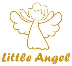Little Angel, Satu Mare program de funcționare