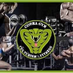 Cobra Gym, Caransebeş program de funcționare