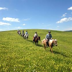 Equus Silvania, Şinca Nouă program de funcționare