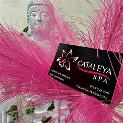 Cataleya Spa, Paşcani program de funcționare