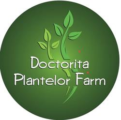 SC DOCTORITA PLANTELOR FARM SRL, Bascov program de funcționare