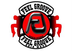 Feel Groove Dance Studio, Baia Mare program de funcționare