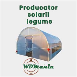 WDMania SRL, Dudu program de funcționare