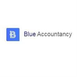 Blue Accountancy SRL - Contabilitate Oradea, program de funcționare