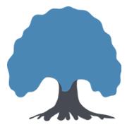 C.A.R. Avantaj Financiar, Caracal program de funcționare