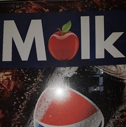 SC MOLK ALEX SRL, Dej program de funcționare