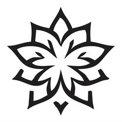 Salon Mandala, Cluj-Napoca program de funcționare