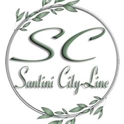 SANTINI CITY-LINE SRL, Botoşani program de funcționare