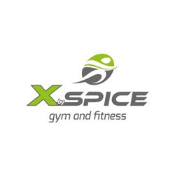 XbySpice, Alba Iulia program de funcționare