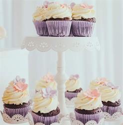 Any Cake, Oneşti program de funcționare