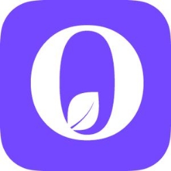 Agentie SEO - Organic Agency în Bucureşti, Dorobanti - Capitale - program de funcționare