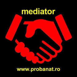 Mediator Matei Bitea, Timişoara program de funcționare