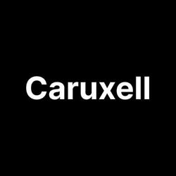Caruxell Software, Piatra-Neamţ program de funcționare