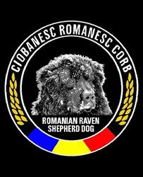 Canisa de Tara Barsei, Podu Oltului program de funcționare
