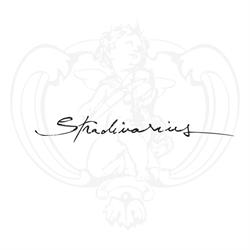 Stradivarius, Timişoara program de funcționare