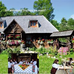 Pensiunea Rustic, Onceşti program de funcționare
