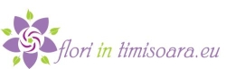 Flori în Timișoara -Non Stop, Timişoara program de funcționare