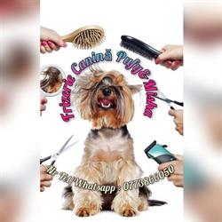 FRIZERIE CANINA PUFY&MISHA PITESTI în Smeura, Trivale - program de funcționare