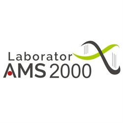 Laborator AMS 2000 Jebel, program de funcționare