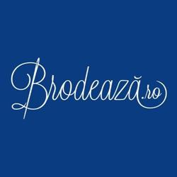 Brodează, Palota program de funcționare