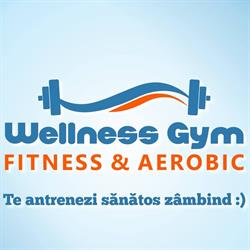 Wellness Gym, Bucureşti program de funcționare